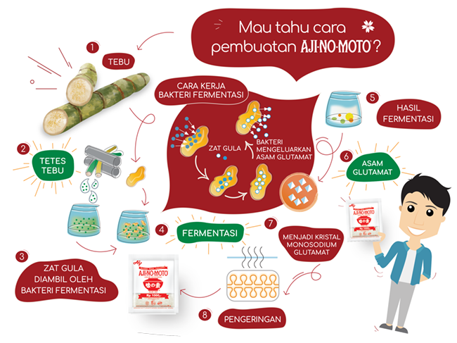 Proses Pembuatan AJI-NO-MOTO®